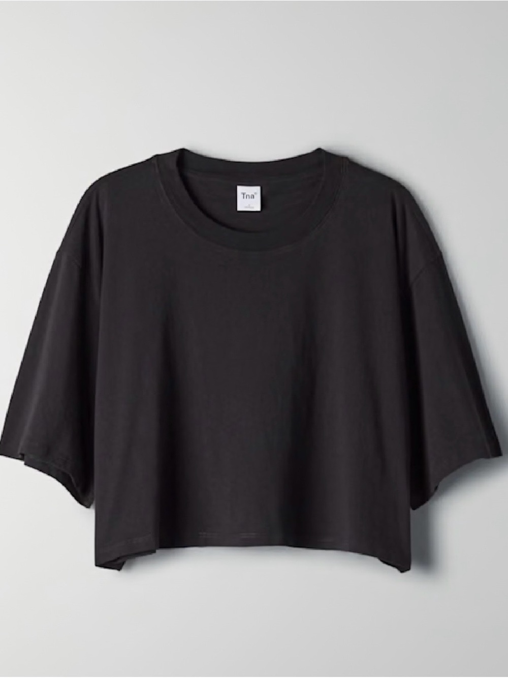 Aritzia TNA Tour T Shirt